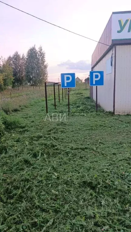 Торговая площадь в Новосибирская область, Мошковский район, пос. ... - Фото 2