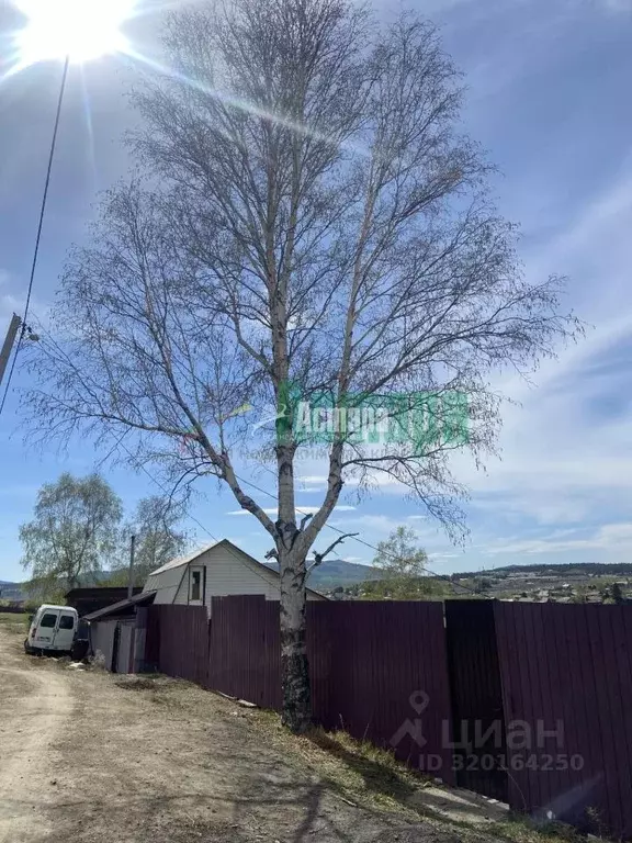 Участок в Забайкальский край, Чита ул. 1-я Новопоселковая, 9 (16.0 ... - Фото 1