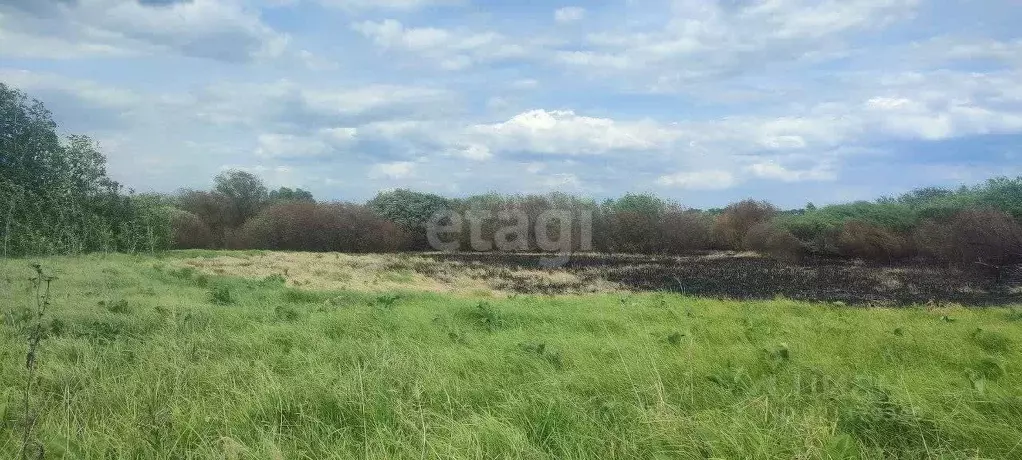 Участок в Воронежская область, с. Новая Усмань  (8.0 сот.) - Фото 0