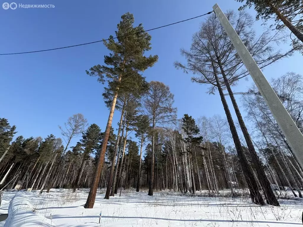 Участок в Иркутский муниципальный округ, ДНТ Петровская Слобода, ... - Фото 1