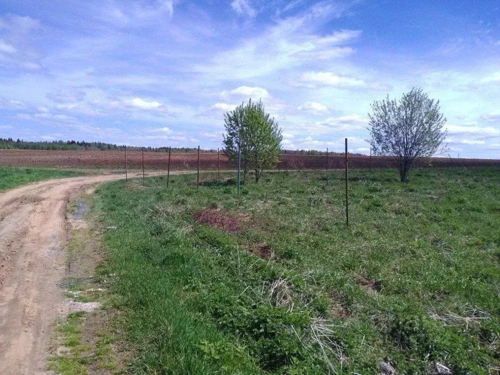 Участок в Белгородская область, Борисовка городское поселение, ... - Фото 0