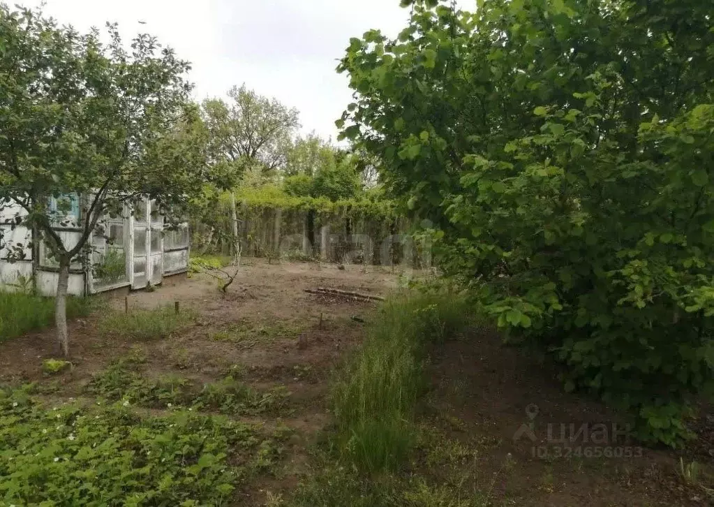 Участок в Ростовская область, Новочеркасск № 15 садовое товарищество, ... - Фото 1