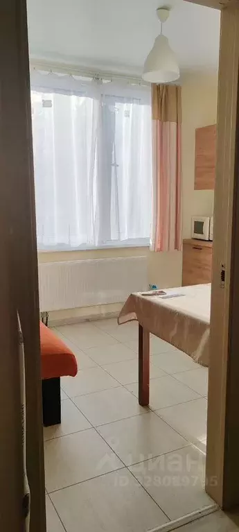 1-к кв. Московская область, Пушкино Мамонтовка мкр, Гоголевская ул., ... - Фото 1