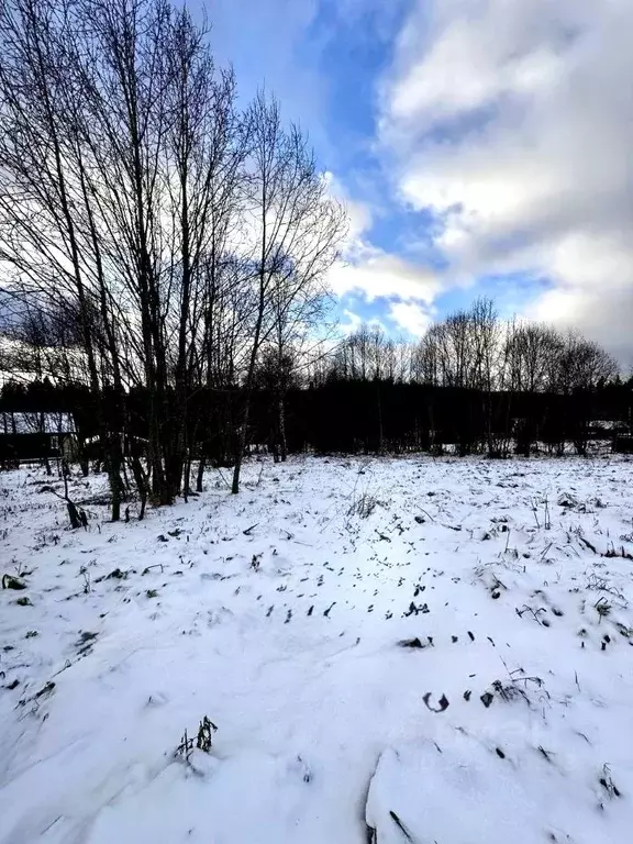 Участок в Московская область, Дмитровский муниципальный округ, д. ... - Фото 2