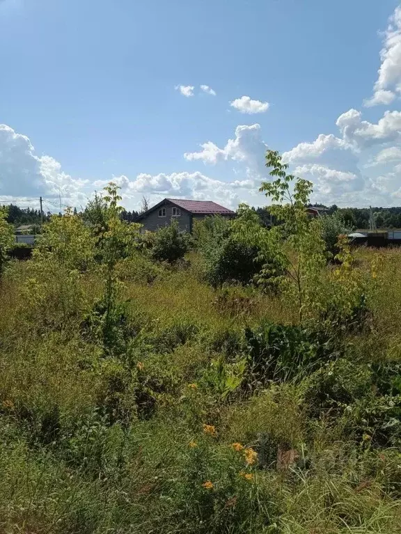 Участок в Московская область, Солнечногорск городской округ, пос. ... - Фото 2