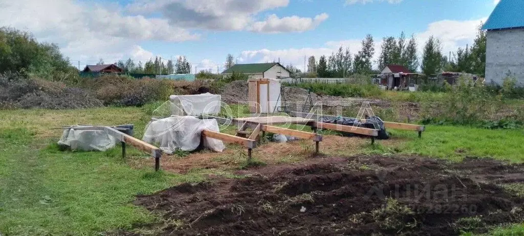 Участок в Тюменская область, Тюмень Садовое товарищество Липовый ... - Фото 2