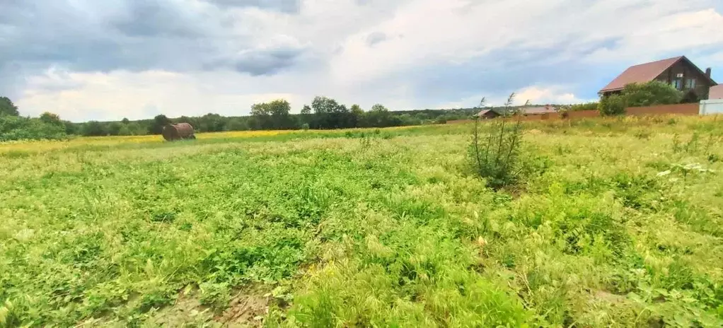 Участок в Воронежская область, Рамонский район, Ступинское с/пос, с. ... - Фото 1