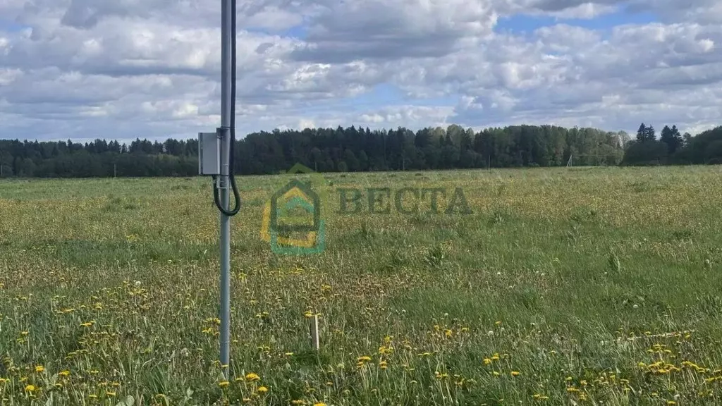 Участок в Ленинградская область, Гатчинский муниципальный округ, д. ... - Фото 2