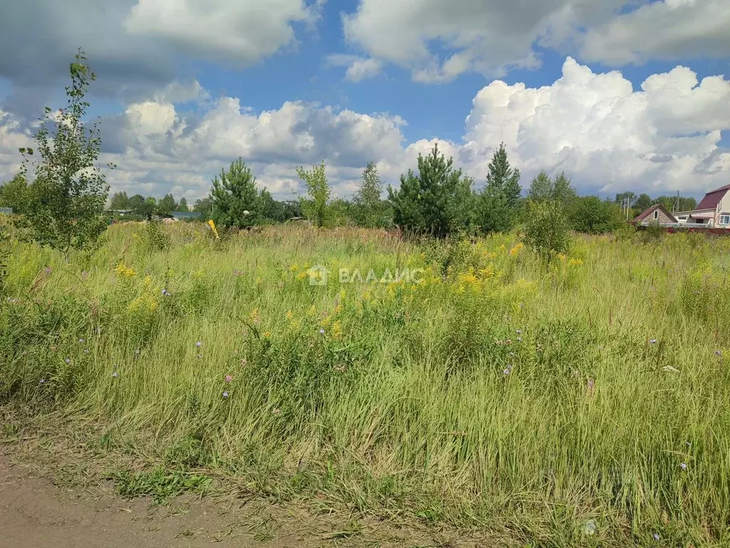 Участок в Пензенская область, Бессоновский район, с. Чемодановка ... - Фото 1