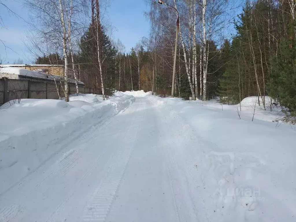 Участок в Московская область, Электроугли Богородский городской округ, ... - Фото 1