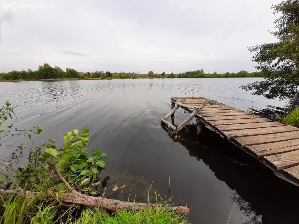 Участок в Нижегородская область, Княгининский муниципальный округ, ... - Фото 0