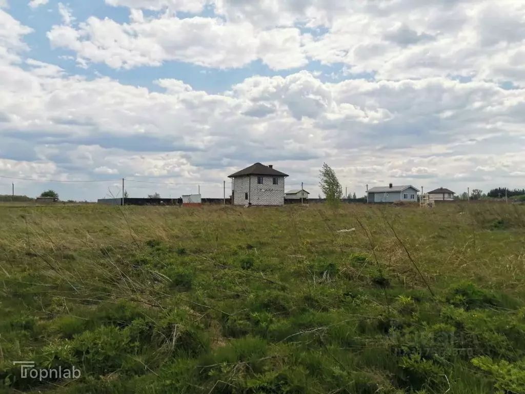 Участок в Орловская область, Орловский район, д. Лесная, Новая ... - Фото 2