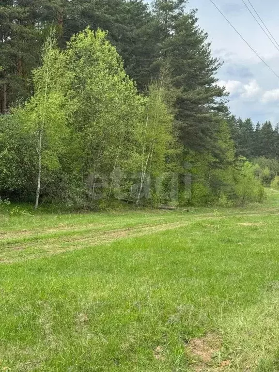 Участок в Калужская область, Боровск Бора-Боровск форестлейк кп,  ... - Фото 1