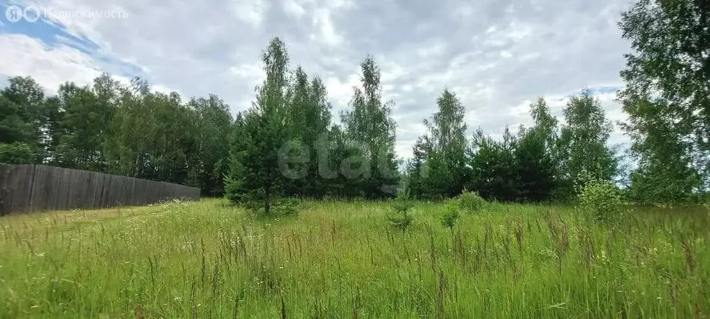 Участок в Ковровский район, муниципальное образование Малыгинское, ... - Фото 0
