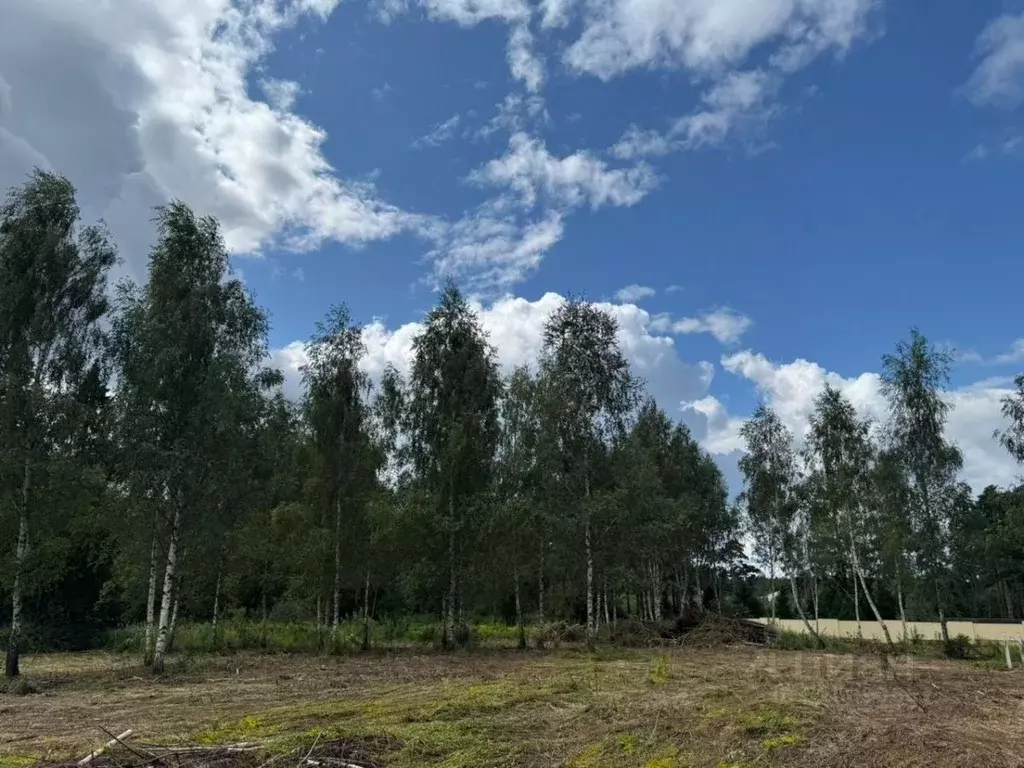 Участок в Московская область, Одинцовский городской округ, д. ... - Фото 1