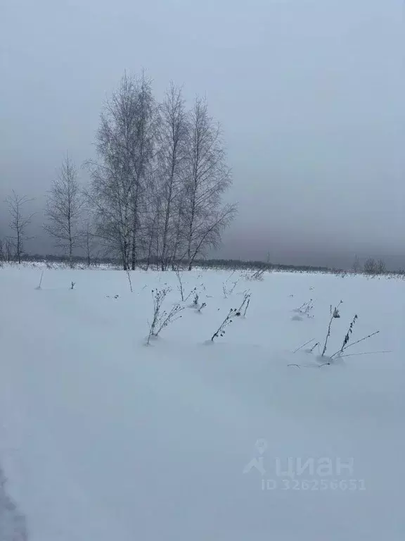 Участок в Московская область, Ступино городской округ, пос. Новоселки  ... - Фото 1