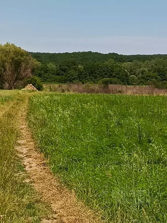 Участок в Краснодарский край, Крымский район, Адагумское с/пос, с. ... - Фото 1