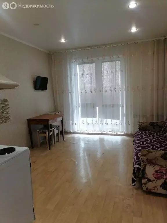 Квартира-студия: Оренбург, Нижний проезд, 5/6 (24 м) - Фото 2