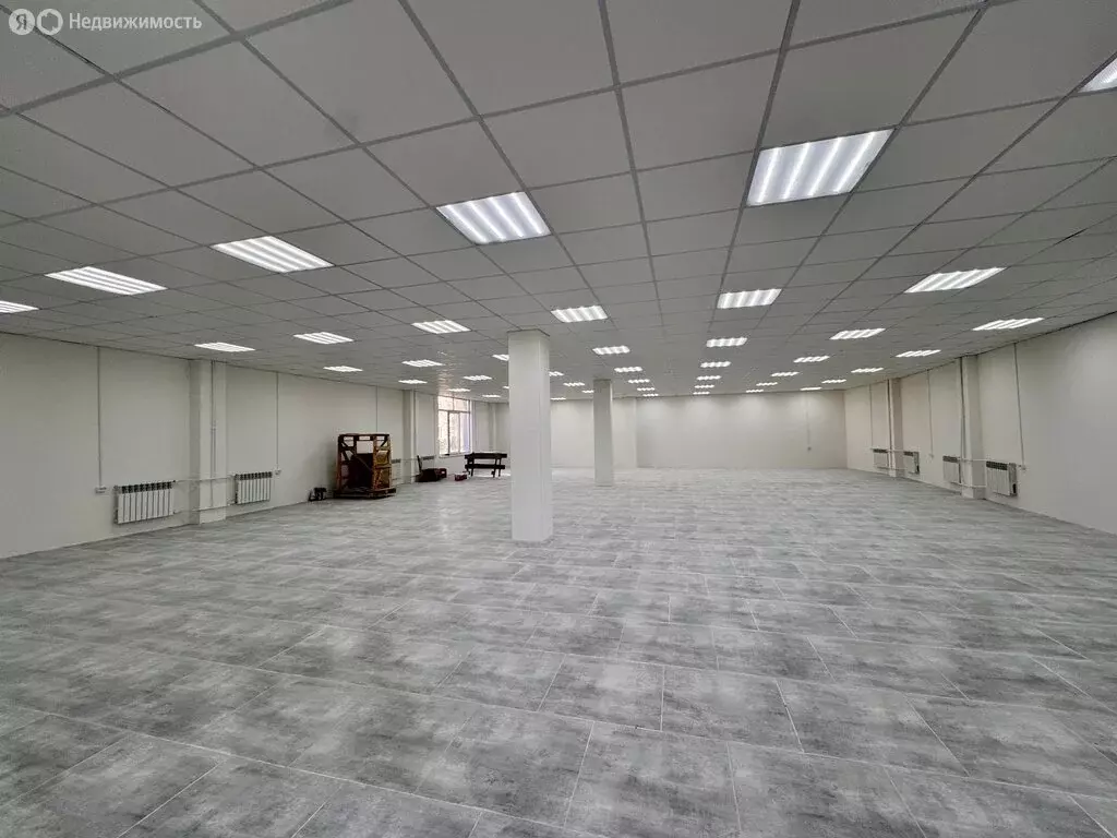 Помещение свободного назначения (278 м) - Фото 2