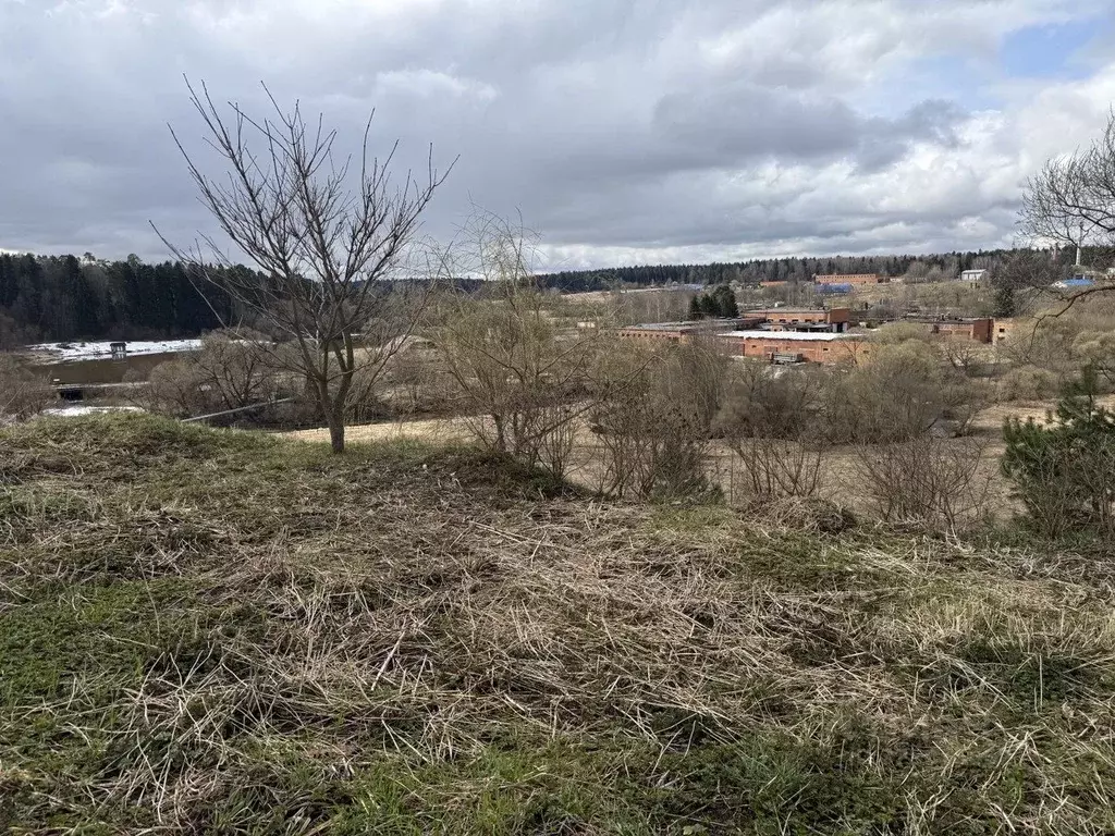 Участок в Московская область, Одинцовский городской округ, д. ... - Фото 1