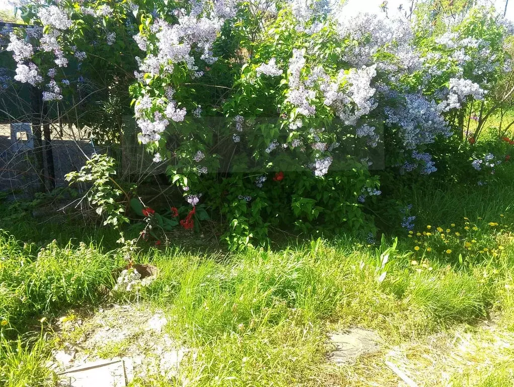 Дом в Майкоп, Кубанская улица, 256 (43 м) - Фото 2