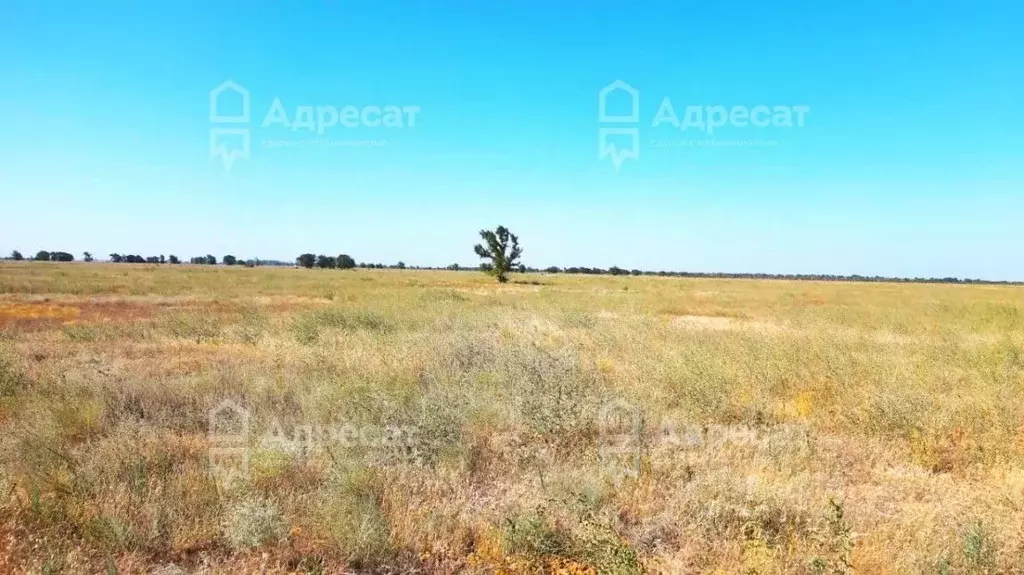 Участок в Волгоградская область, Светлоярский район, с. Райгород  ... - Фото 0