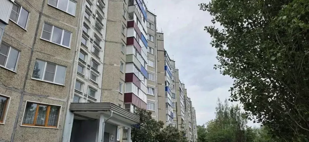 3-к кв. Липецкая область, Елец ул. Королева, 21 (60.0 м) - Фото 0