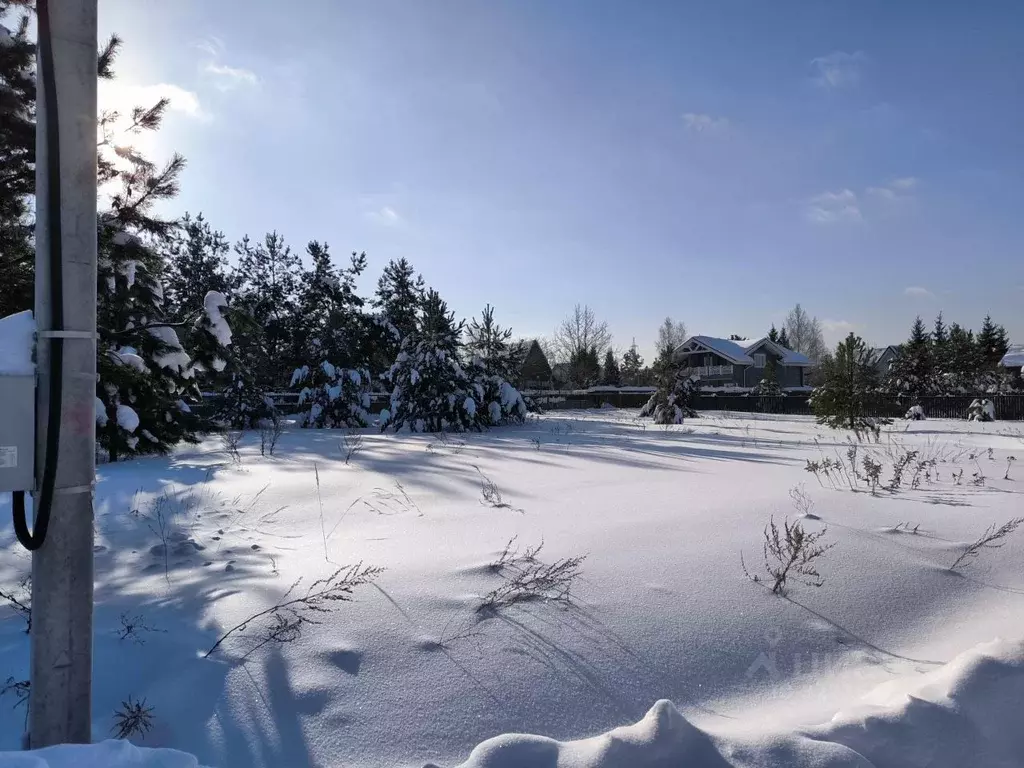 Участок в Московская область, Раменский муниципальный округ, с. Речицы ... - Фото 2