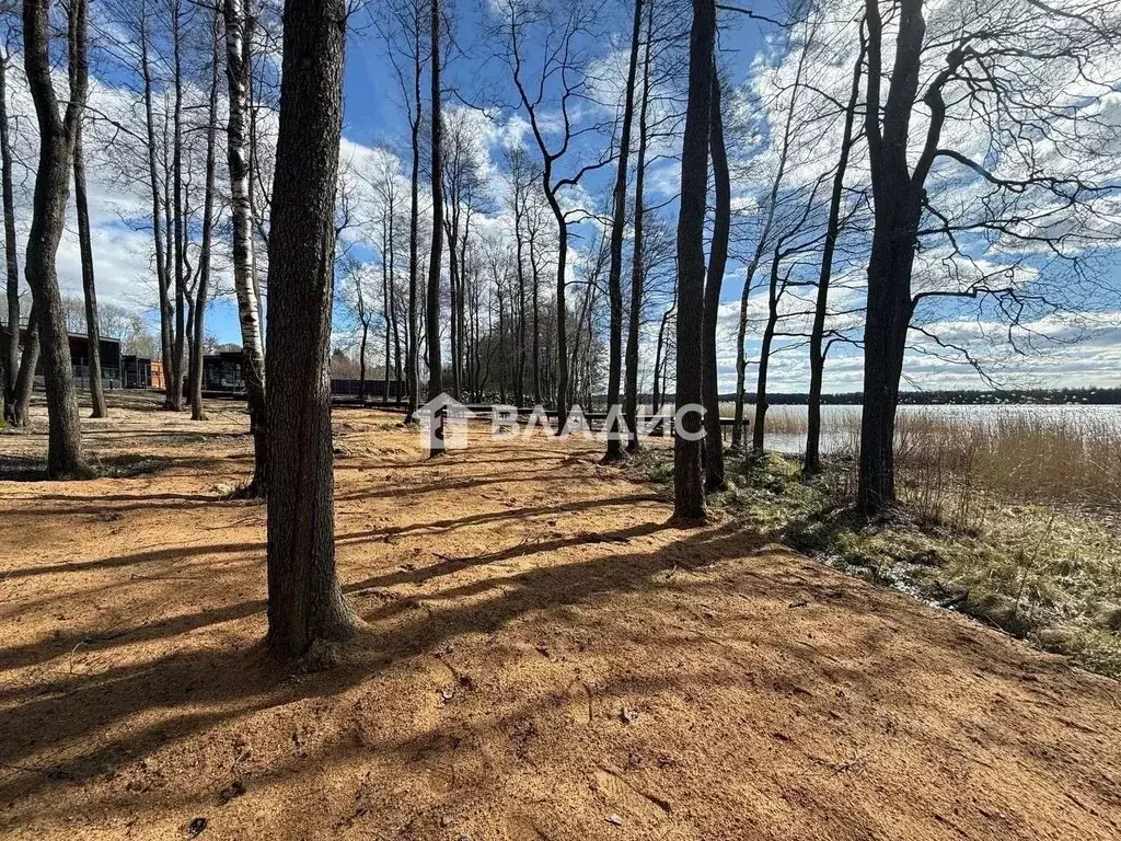 Участок в Ленинградская область, Выборгский район, Красносельское ... - Фото 1