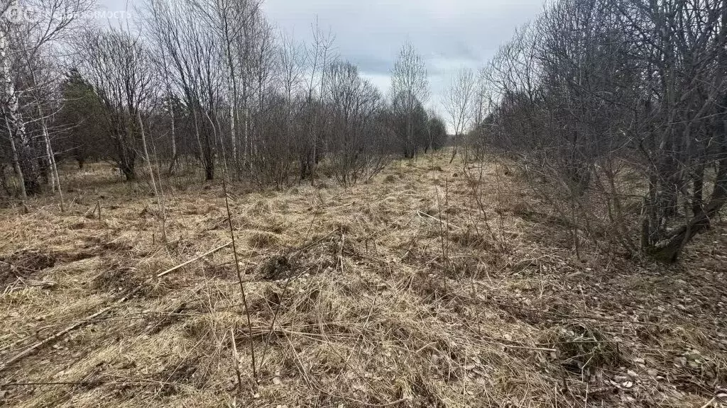 Участок в Кемеровский муниципальный округ, село Силино (15 м) - Фото 1