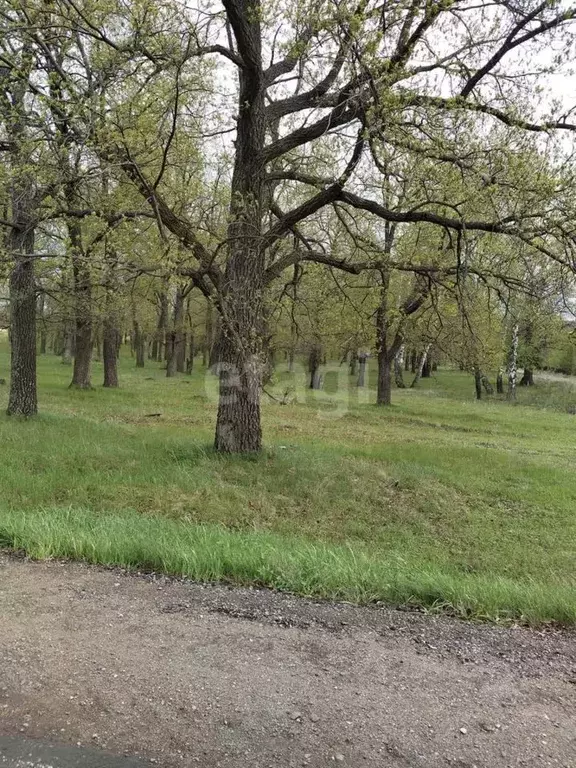 Участок в Башкортостан, Уфимский район, Юматовский сельсовет, с. ... - Фото 2