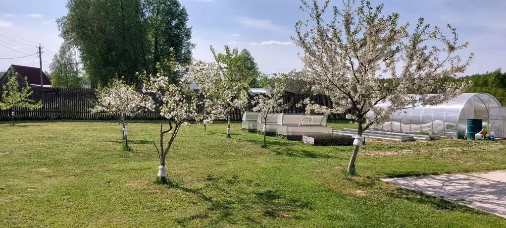 Дом в Смоленская область, Новодугинский муниципальный округ, д. ... - Фото 2