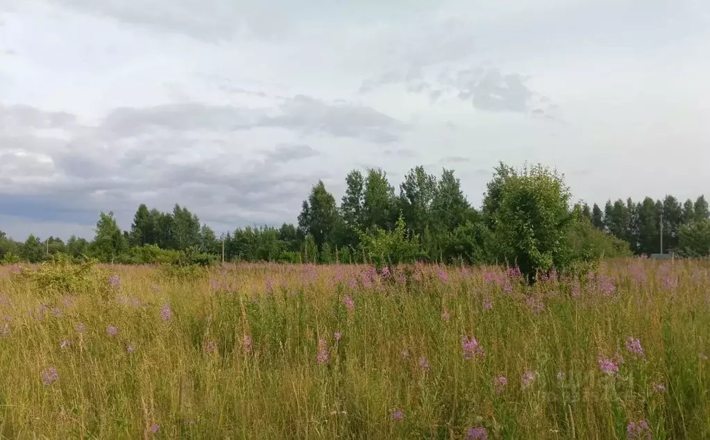 Участок в Московская область, Егорьевск муниципальный округ, с. ... - Фото 2
