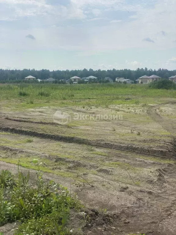 Участок в Тюменская область, Тюменский муниципальный округ, д. ... - Фото 1