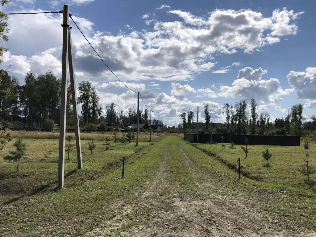 Участок в Тульская область, Заокский район, Страховское с/пос, д. ... - Фото 2