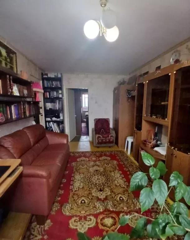 3-к кв. Московская область, Егорьевск 3-й мкр, 8 (62.0 м) - Фото 2