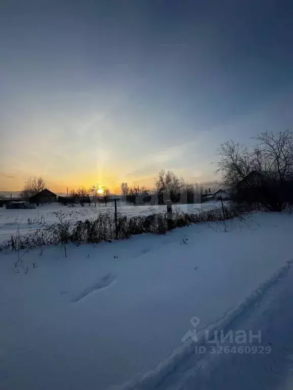 Участок в Алтай, Майминский район, с. Подгорное Центральная ул. (8.0 ... - Фото 1