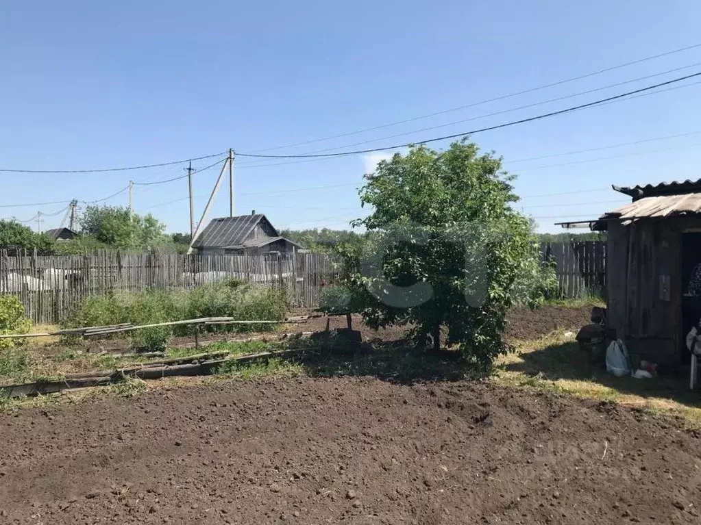 Дом в Омская область, Омск Дзержинец СНТ, 70 (25 м) - Фото 1