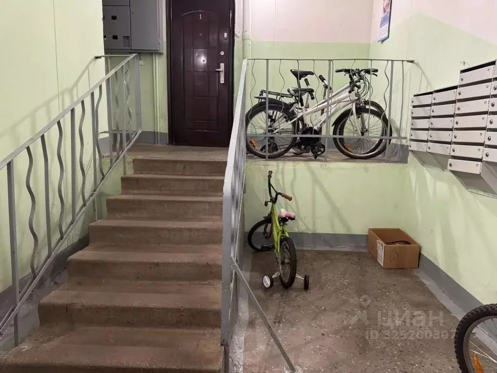 1-к кв. Санкт-Петербург, Санкт-Петербург, Петергоф Чичеринская ул., ... - Фото 2