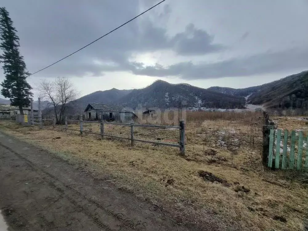 Участок в Алтай, Шебалинский район, с. Мыюта Трактовая ул. (15.0 сот.) - Фото 2