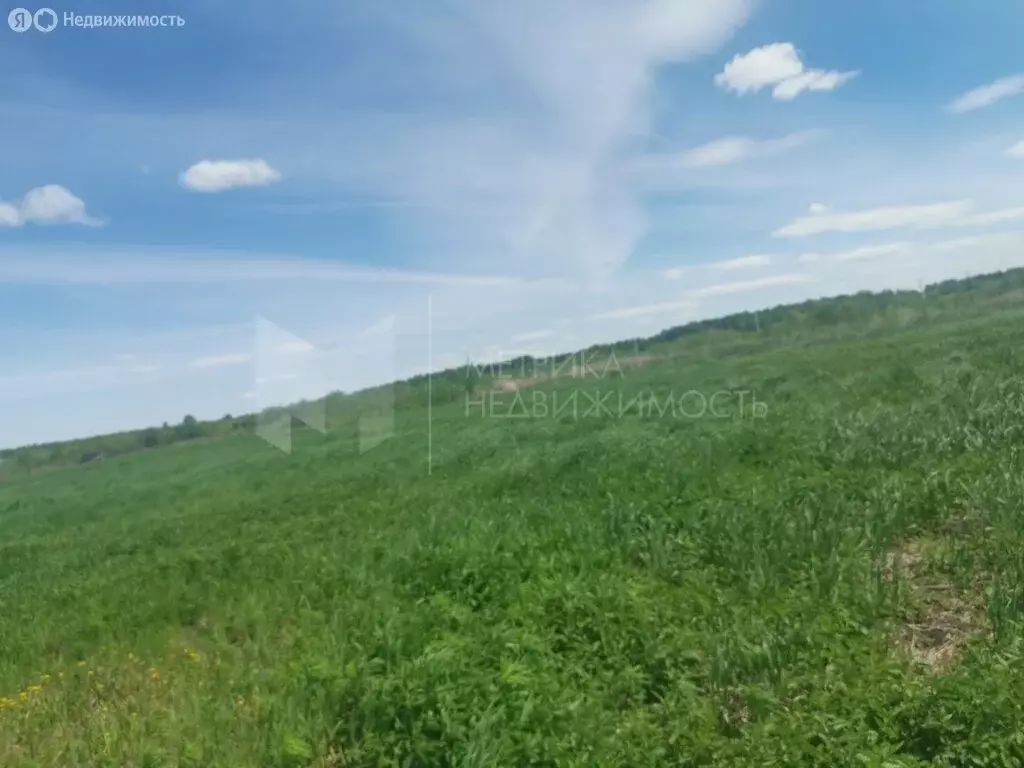 Участок в Тюмень, ДНТСН Зелёный Бор (11 м) - Фото 2