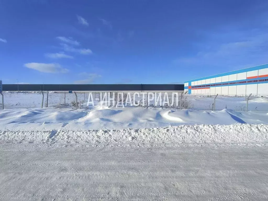 Участок в Московская область, Подольск городской округ, д. Коледино ... - Фото 2