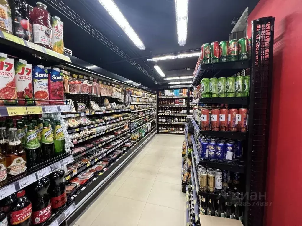 Помещение свободного назначения в Санкт-Петербург пос. Парголово, ул. ... - Фото 2