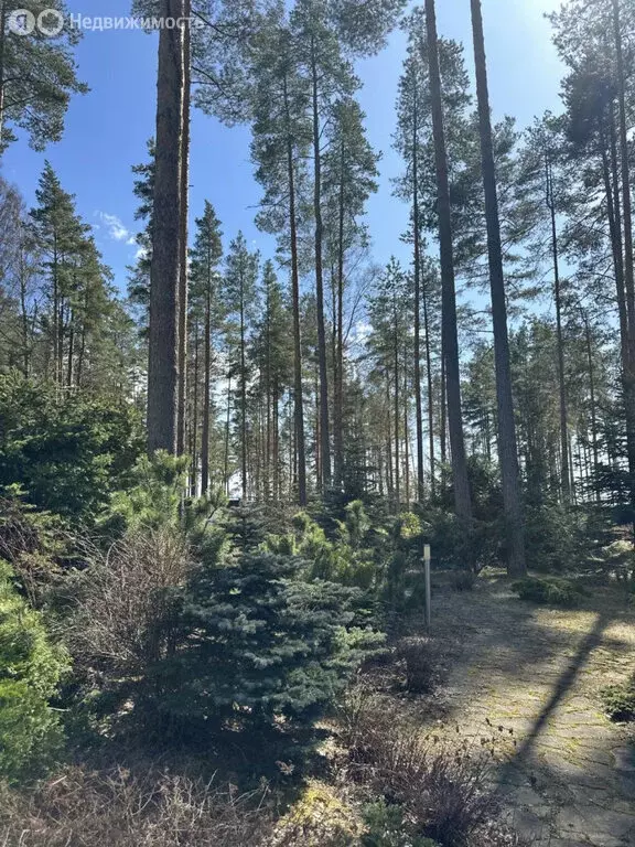 Участок в посёлок Пески, коттеджный посёлок Морские Террасы, ... - Фото 1