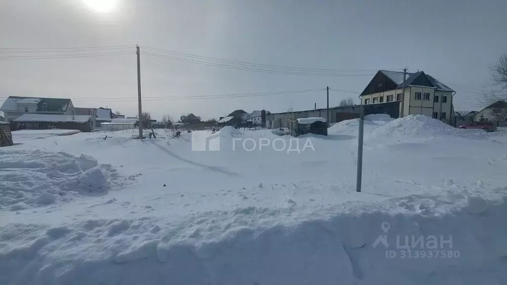 Участок в Алтайский край, Барнаул городской округ, с. Власиха, ... - Фото 0