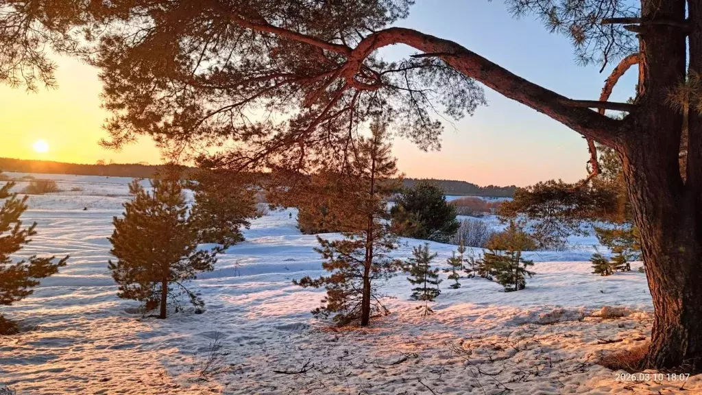 Участок в Тверская область, Калининский муниципальный округ, д. ... - Фото 1