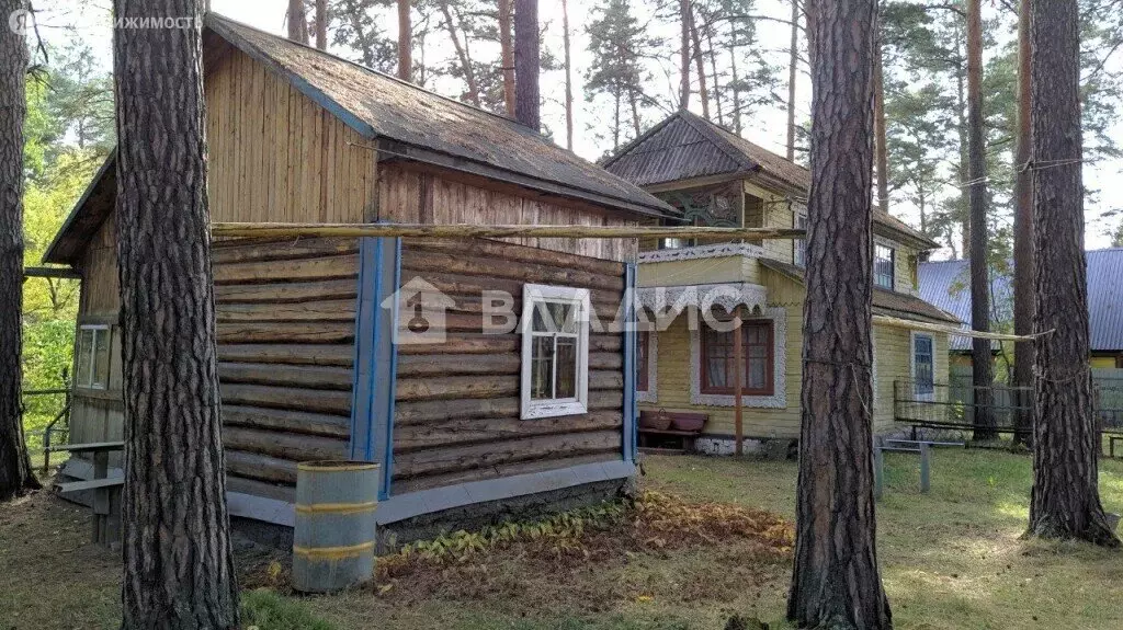 Дом в Кубовинский сельсовет, посёлок Зелёный Мыс, Лесная улица, 1 ... - Фото 0
