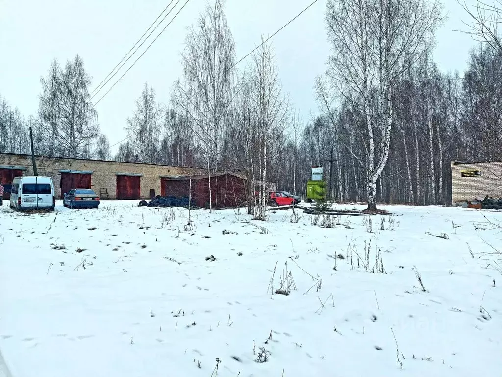 Помещение свободного назначения в Ярославская область, Некрасовское рп ... - Фото 1