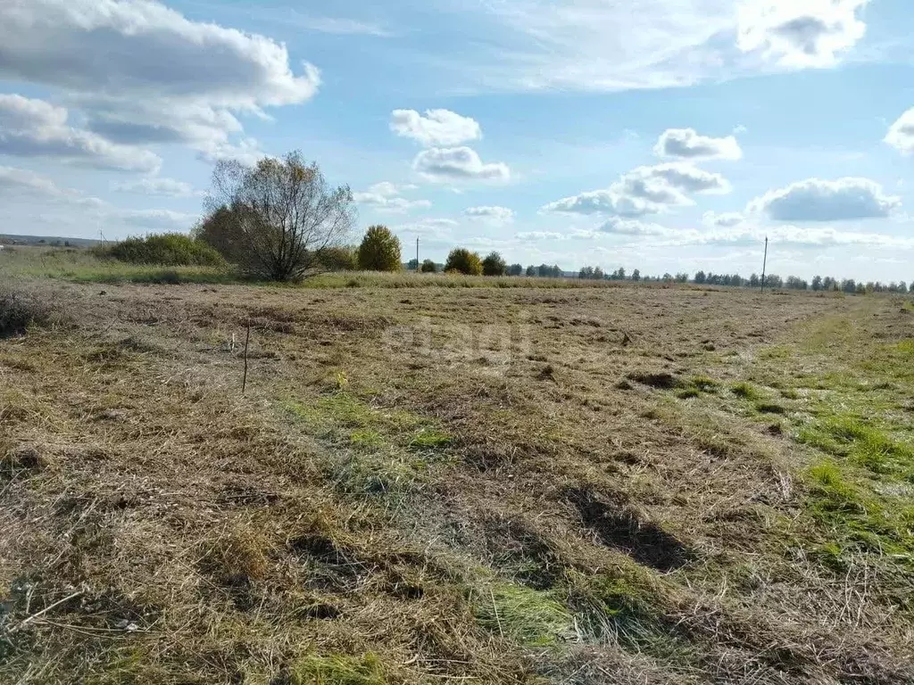 Участок в Мордовия, Саранск городской округ, с. Напольная Тавла ул. ... - Фото 1