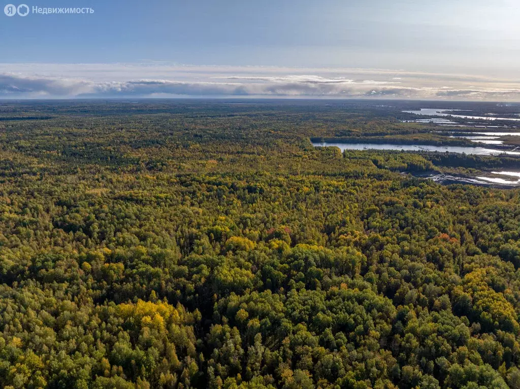 Участок в Всеволожский район, городской посёлок имени Свердлова (12 м) - Фото 2